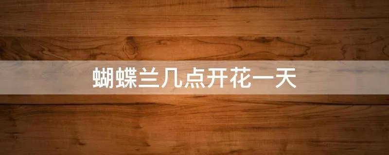 蝴蝶兰几点开花一天