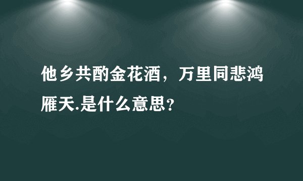 他乡共酌金花酒，万里同悲鸿雁天.是什么意思？
