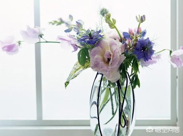 一直想学花艺，该如何开始？