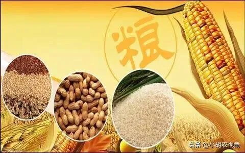 受疫情影响，已有国家禁止出口粮食，你怎么看？