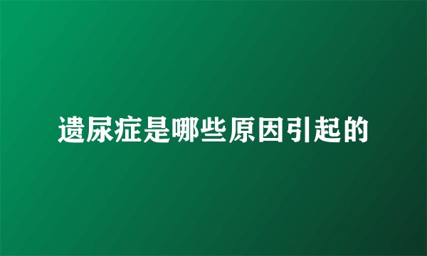 遗尿症是哪些原因引起的