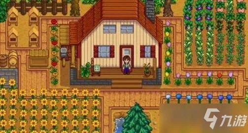 《星露谷物语》快速赚钱的办法 怎么赚钱最快最多