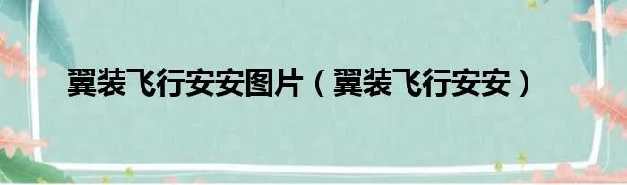 翼装飞行安安图片（翼装飞行安安）