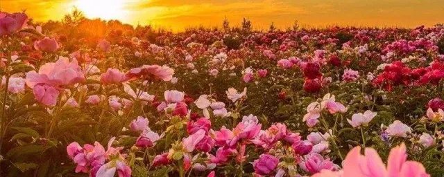 四月的说说心情短语 四月的说说写什么