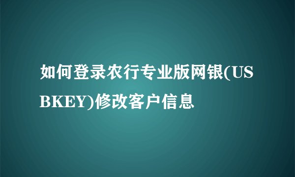 如何登录农行专业版网银(USBKEY)修改客户信息