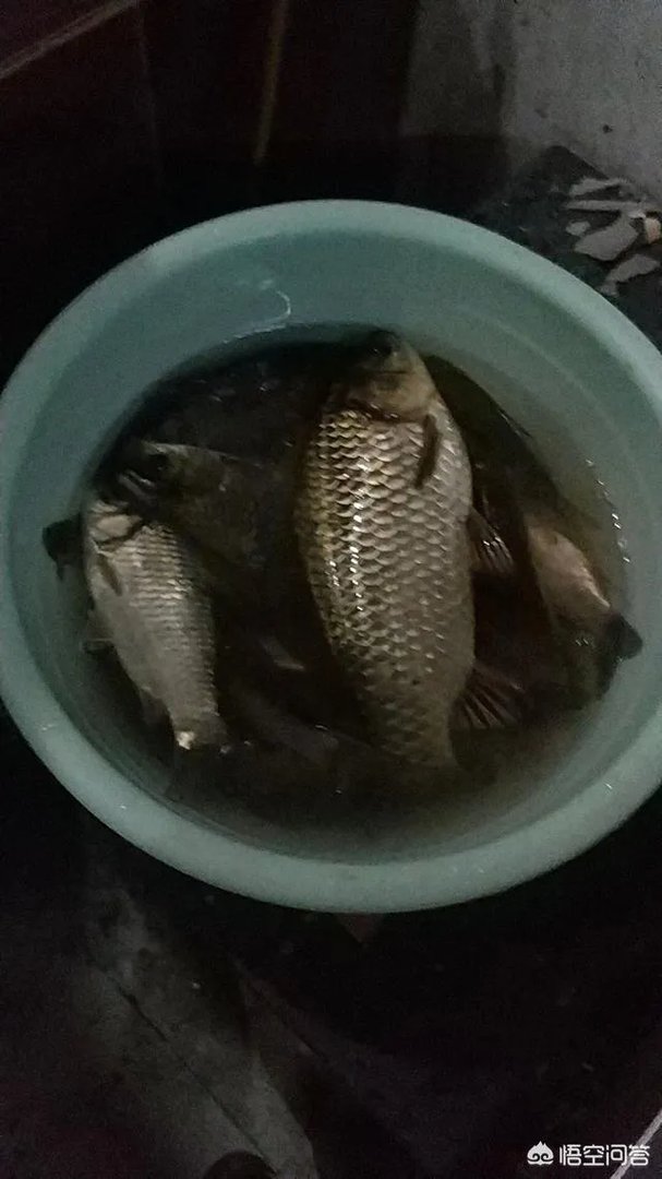 哪里有比较幽静的钓鱼的地方？