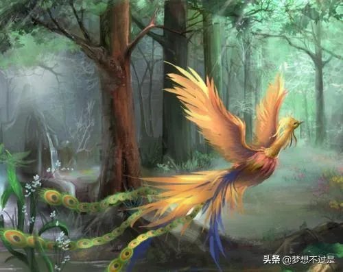 FPX和IG止步LPL春季半决赛，为何他们都逃不过版本制裁？