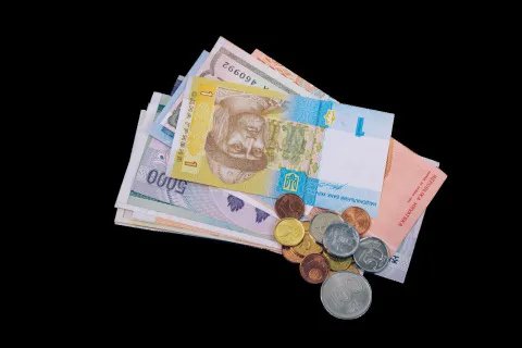 公司注册资金和实缴资金在哪里查