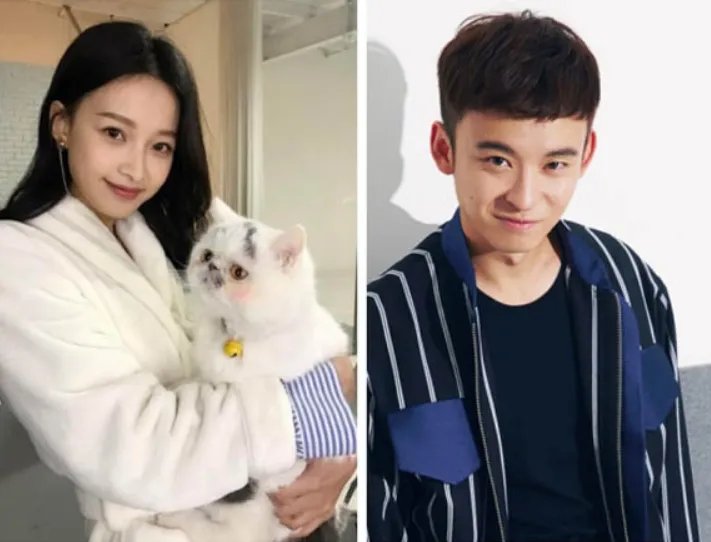 王俊凯被董子健和孙怡喂了一波狗粮，说说董子健孙怡是怎么走到一起的？