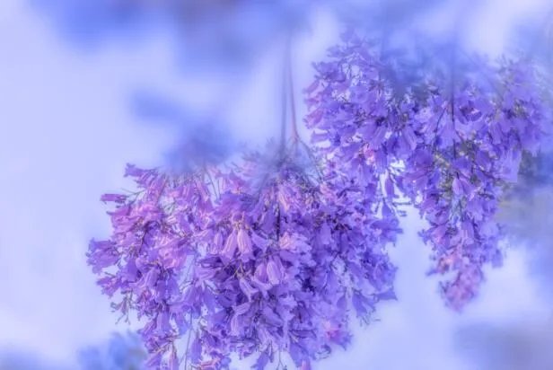 4月份去哪里旅游最好国内 4月值得去的旅游景点