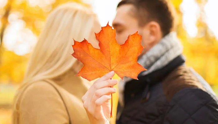 双子座男生对爱情观