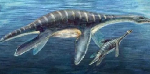 尼斯湖水怪已经现世，长白山天池水怪是否真实存在呢？