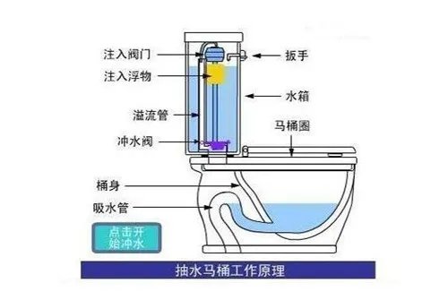 抽水马桶结构图 抽水马桶的清洁保养