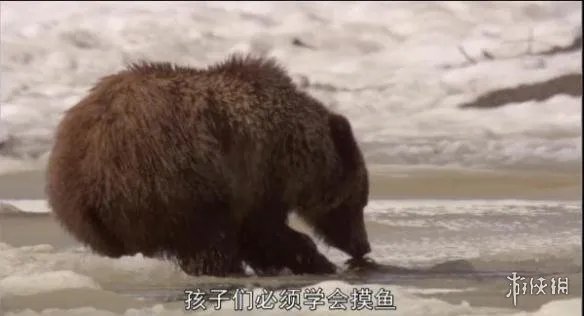 小学生看了根本把持不住 囧图 我也想上这样的体育课