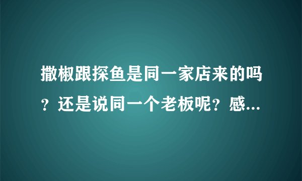 撒椒跟探鱼是同一家店来的吗？还是说同一个老板呢？感觉好像老听到这两个名字混在一起。