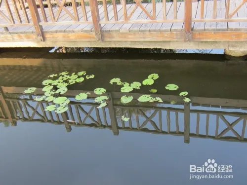 厦门五缘湾湿地公园好玩吗