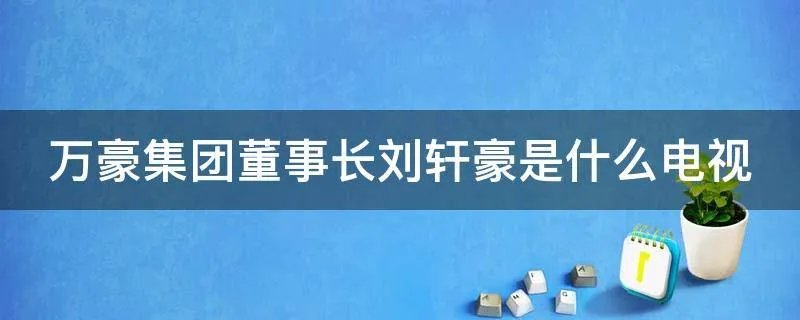 万豪集团董事长刘轩豪是什么电视