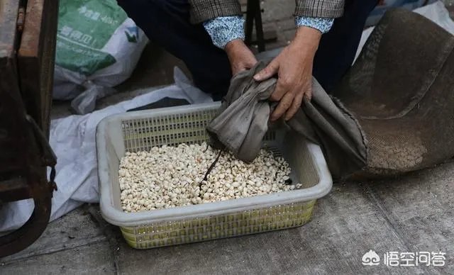 《向往的生活3》中，爆米花是什么神器？原理是什么？