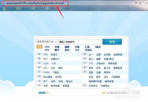 快递100的快递查询窗口如何调用到自己的网站?