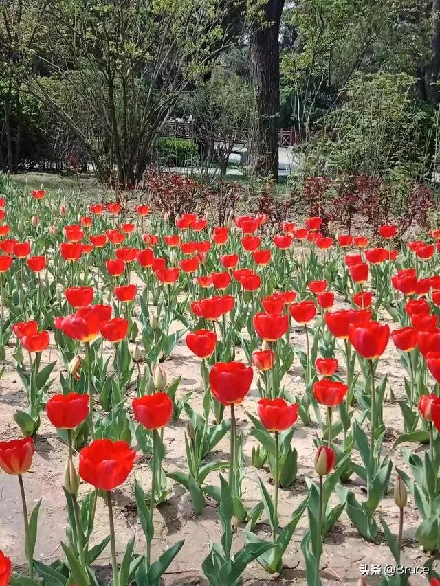 疫情影响下,你在太原还好么?