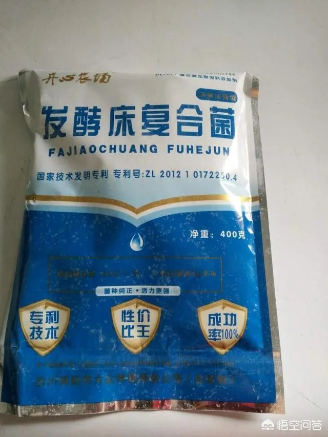 散养鸡舍怎样设计可以提高生产效率？