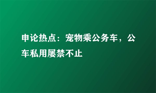 申论热点：宠物乘公务车，公车私用屡禁不止