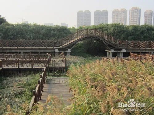 厦门五缘湾湿地公园好玩吗