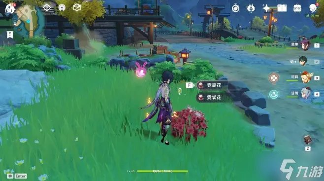 原神福至五彩红色采集物介绍