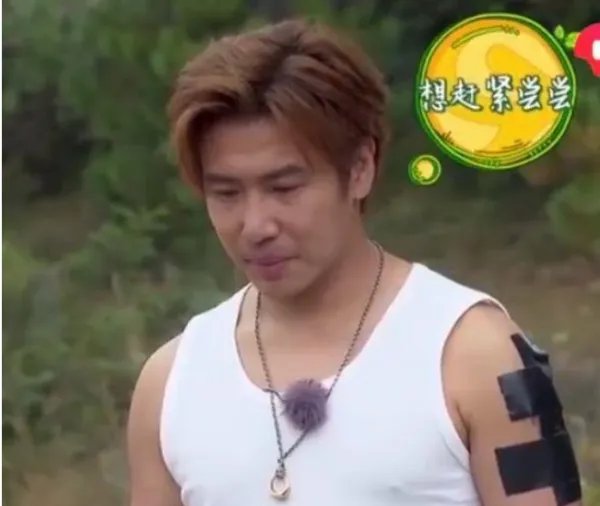 明星上综艺不能有纹身，欧弟胶带遮挡，林心如机智，包贝尔最彻，你同意吗？