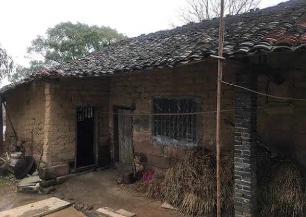 整个湘潭县都在帮刘强东寻祖是真的吗？