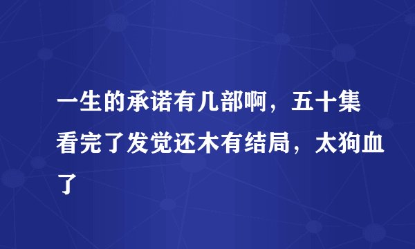 一生的承诺有几部啊，五十集看完了发觉还木有结局，太狗血了
