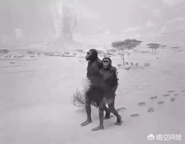 朋友圈发18岁照片是什么梗？