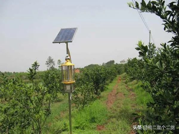 怎么防治柑橘病虫害？