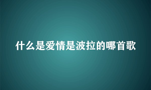 什么是爱情是波拉的哪首歌