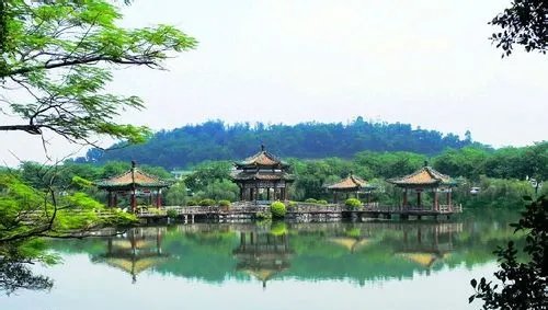 深圳到肇庆七星岩鼎湖山二日游