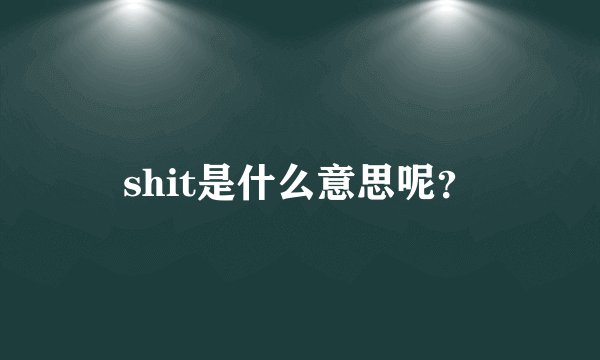 shit是什么意思呢？