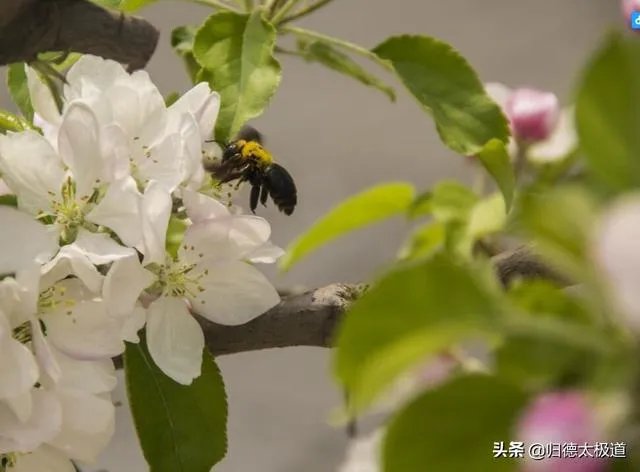 摄影是艺术吗？