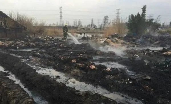 湖南一养猪场起火150头猪被烤焦，这给养猪场老板造成了多大的损失？