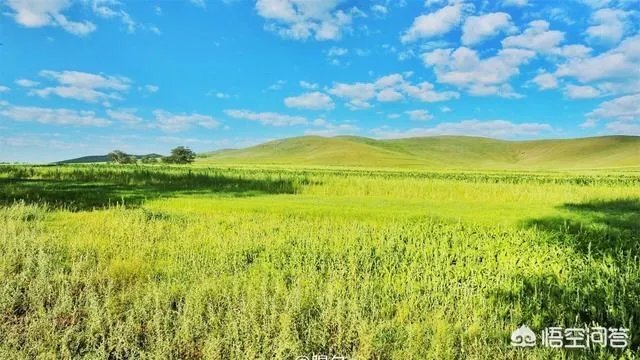 有哪些豪言壮语的句子?