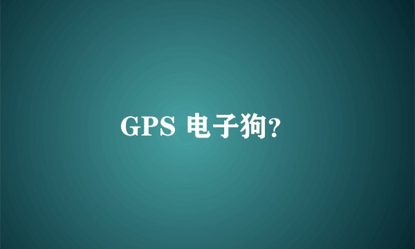 GPS 电子狗？