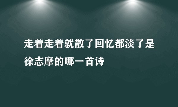 走着走着就散了回忆都淡了是徐志摩的哪一首诗