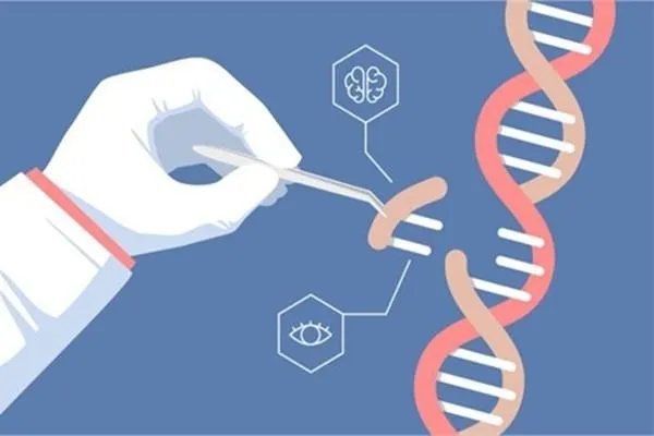 为什么要严禁制造“基因编辑婴儿”？
