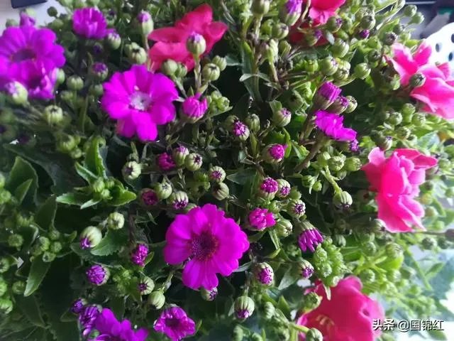 你独自一人在家，会做什么呢？