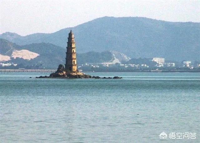 漳州市漳浦县沙西镇为什么被称为中国榕树盆景之乡？