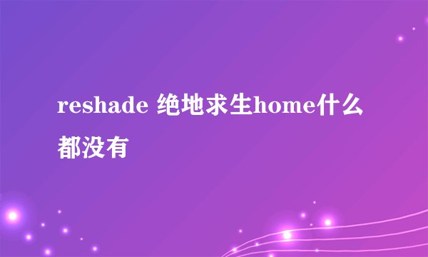 reshade 绝地求生home什么都没有
