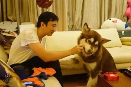 王思聪带女友看熊猫，他有哪些择偶标准？