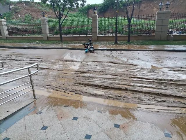 张泽群怒批河南卫视七夕奇妙夜节目,究竟惹住了谁?