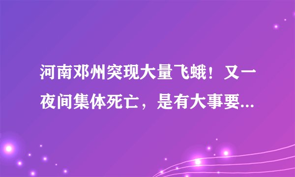 河南邓州突现大量飞蛾！又一夜间集体死亡，是有大事要发生吗？