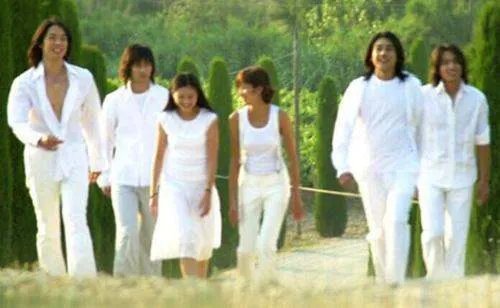 如何评价电视剧《流星花园》当年所造成的轰动