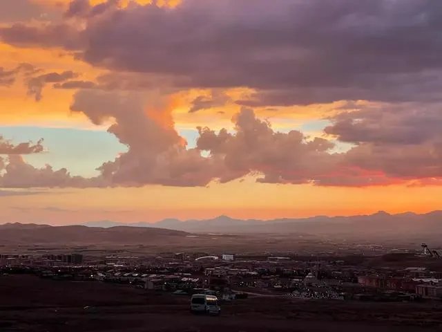 张文宏博士论文被举报，复旦回应已启动调查，真相到底如何？